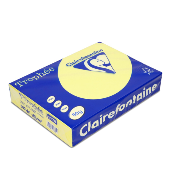 PAPIER KOLOR ŻÓŁTY A-4 1778 kart. 5 ryz