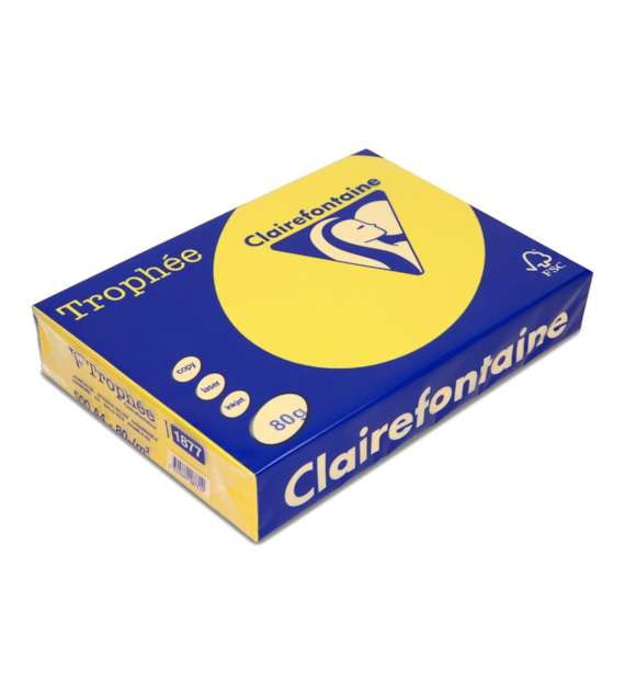 PAPIER KOLOR SŁONECZNY  A-4 1877 A'5