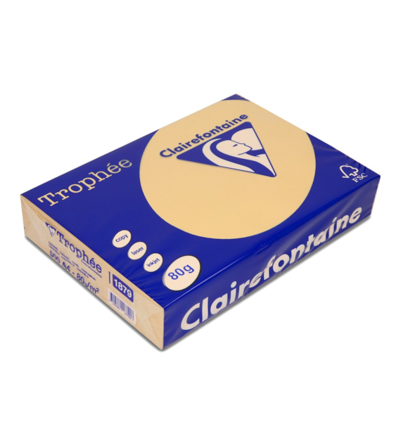 PAPIER KOLOR WIELBŁĄDZI A-4 1879 A'5