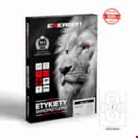 ETYKIETY SAMOPRZYLEPNE A-4 CD 118 X 118mm opak. 100 szt.  /2/