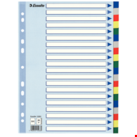 PRZEKŁADKI A-4/20 ESSELTE PLASTIKOWE KOLOROWE