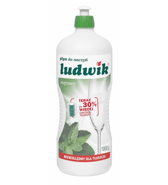 PŁYN DO NACZYŃ LUDWIK 900 ml  Miętowy  kart. 12 szt.