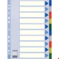 PRZEKŁADKI A-4/10 ESSELTE PLASTIKOWE KOLOROWE