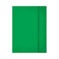 TECZKA Z GUMKĄ ESSELTE ZIELONA opak. 10 szt.