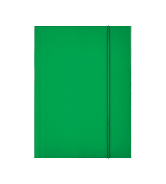 TECZKA Z GUMKĄ ESSELTE ZIELONA opak. 10 szt.