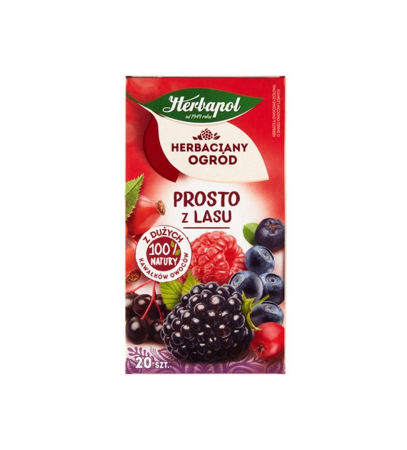 HERBATA EXPRESOWA HERBAPOL OWOCE LEŚNE opak. 20 szt.