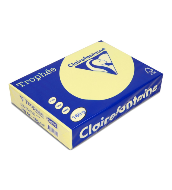 PAPIER KOLOR KANAREK A-4 160G A'4