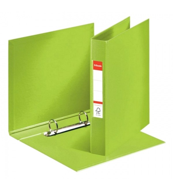 SEGREGATOR A-5/2R/35 ESSELTE ZIELONY karton 25 szt.