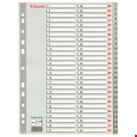 PRZEKŁADKI A-4/1-54 ESSELTE PLASTIKOWE/SZARE