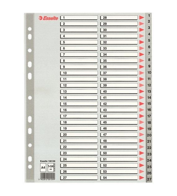 PRZEKŁADKI A-4/1-54 ESSELTE PLASTIKOWE/SZARE