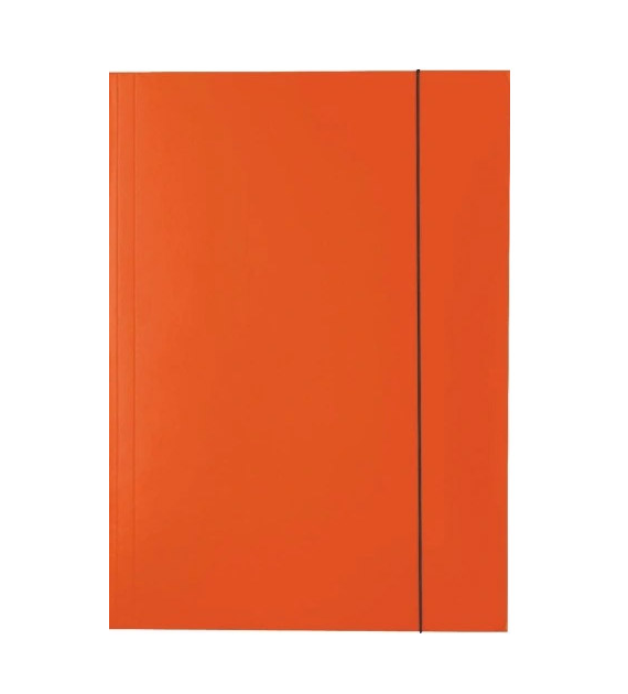 TECZKA Z GUMKĄ BARBARA POMARAŃCZ opak. 25 szt.