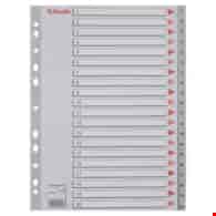 PRZEKŁADKI A-4/1-20 ESSELTE PLASTIK/SZARE