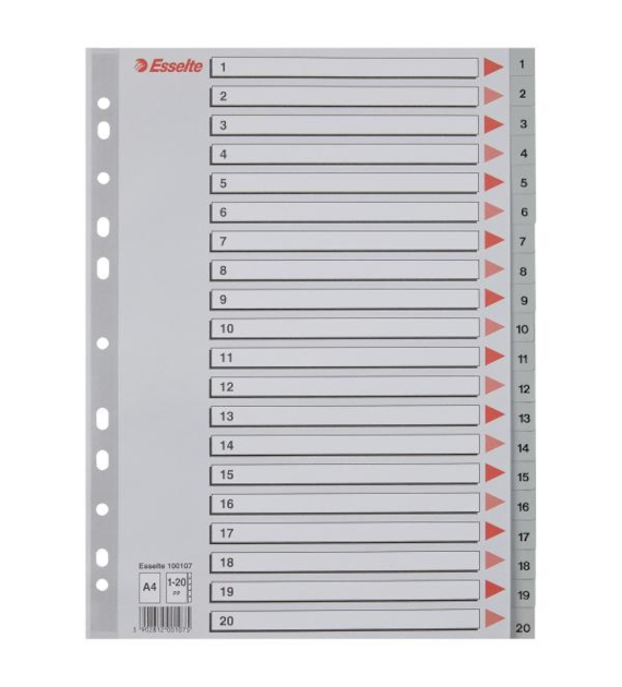 PRZEKŁADKI A-4/1-20 ESSELTE PLASTIK/SZARE