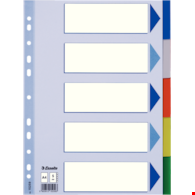 PRZEKŁADKI A-4/5 ESSELTE PLASTIKOWE KOLOROWE