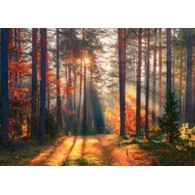 KALENDARZ TRÓJDZIELNY LAS opak.5 szt.