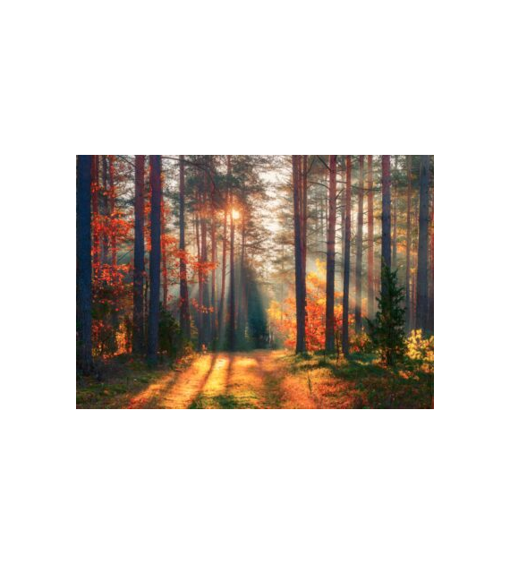 KALENDARZ TRÓJDZIELNY LAS opak.5 szt.