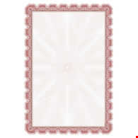 DYPLOM ARNIKA B 170G/M2 opak. 25 szt.