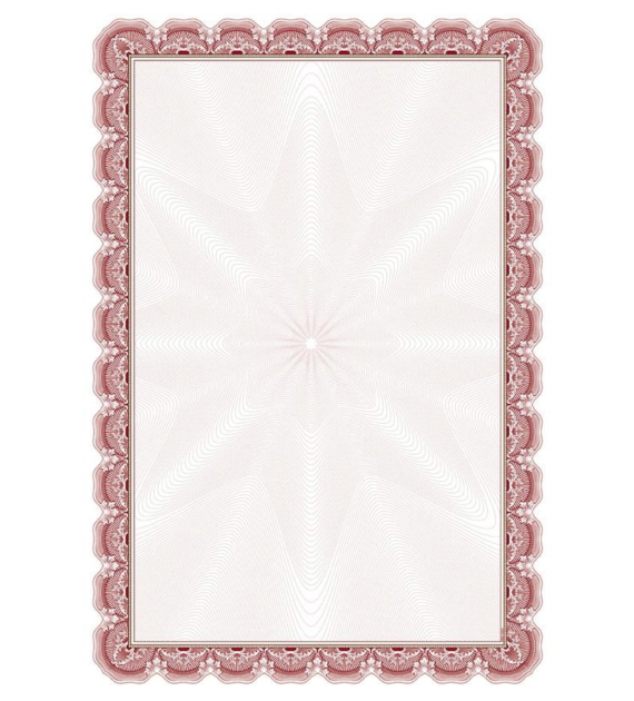 DYPLOM ARNIKA B 170G/M2 opak. 25 szt.