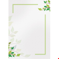 DYPLOM GREEN 170G opak. 25 szt.