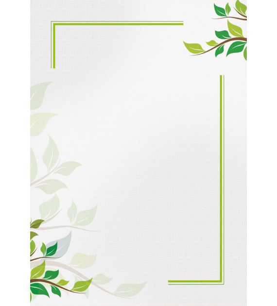 DYPLOM GREEN 170G opak. 25 szt.