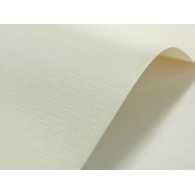 PAPIER WIZYTÓWKOWY A-4/ NR 21 Kość Kratka opak. 20 szt.