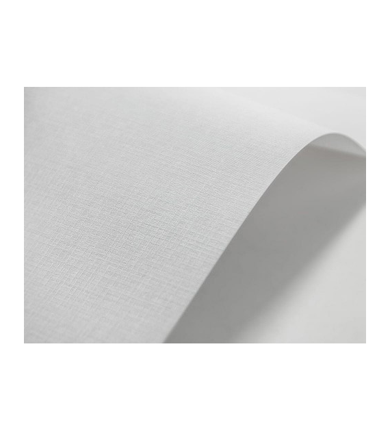 PAPIER WIZYTÓWKOWY A-4/ NR  1  Biała Kratka opak. 20 szt.