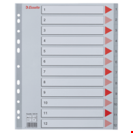 PRZEKŁADKI A-4/1-12 ESSELTE PLASTIK MAXI