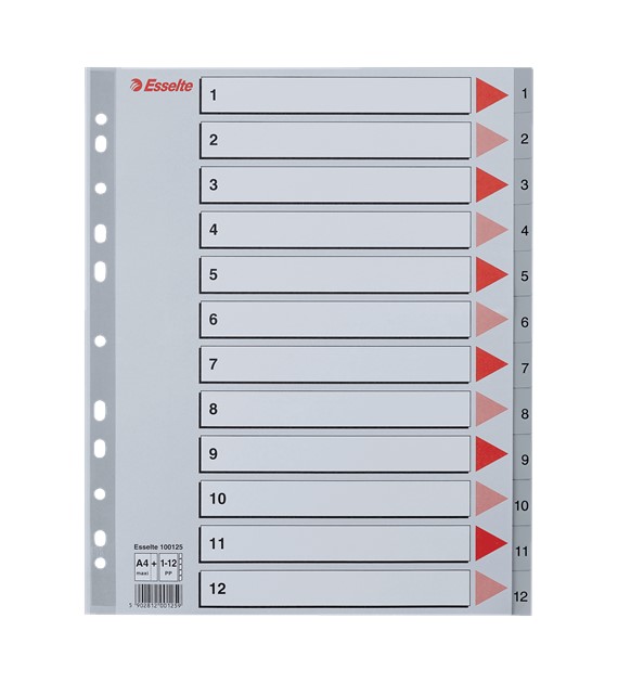 PRZEKŁADKI A-4/1-12 ESSELTE PLASTIK MAXI