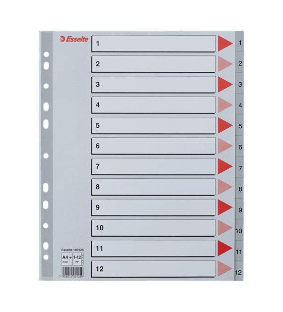 PRZEKŁADKI A-4/1-12 ESSELTE PLASTIK MAXI