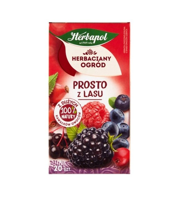 HERBATA EXPRESOWA HERBAPOL PROSTO Z LASU opak. 20 szt.