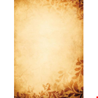 DYPLOM AMBER 170G opak. 25 szt.