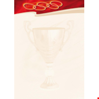 DYPLOM SPORT 170G opak. 25 szt.