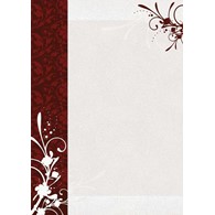 DYPLOM FINEZJA 170g  opak. 25 szt.
