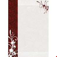 DYPLOM FINEZJA 170g  opak. 25 szt.