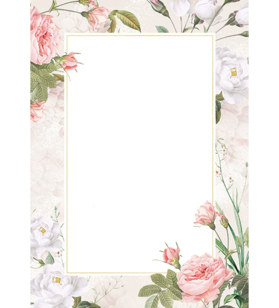 DYPLOM BELLA 170G opak. 25 szt.