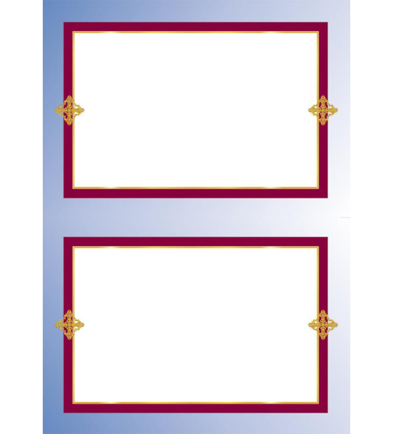DYPLOM FRANCJA B 170G/M2 opak. 25 szt.