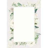 DYPLOM BIANCO 170G/M2 opak. 25 szt.