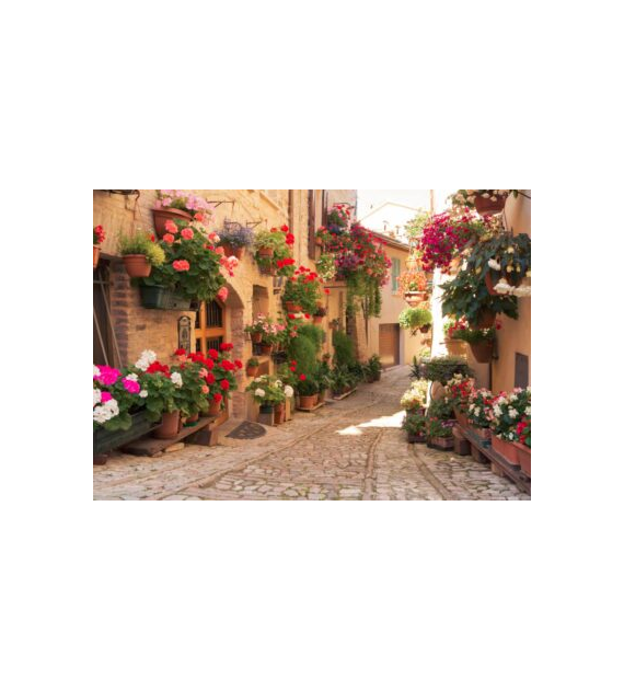 KALENDARZ TRÓJDZIELNY WŁOSKA ULICZKA opak.5 szt