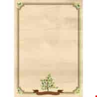 DYPLOM NATURA 170G/M2 opak. 25 szt.