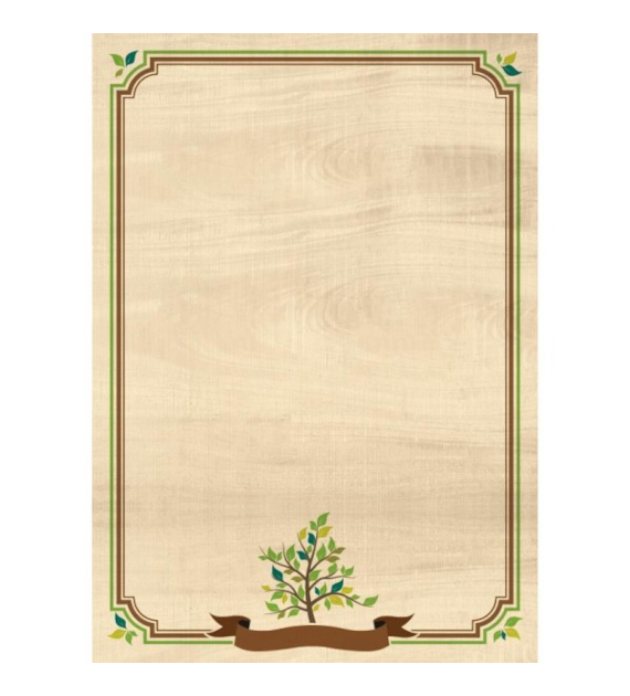 DYPLOM NATURA 170G/M2 opak. 25 szt.