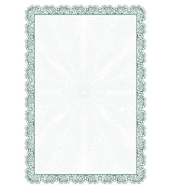 DYPLOM ARNIKA 170G/M2 opak. 25 szt.