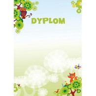 DYPLOM BAJKA 170G/M2 opak. 25 szt.