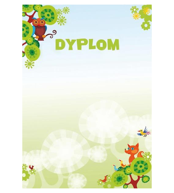 DYPLOM BAJKA 170G/M2 opak. 25 szt.