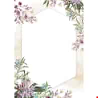 DYPLOM UMBRIA 170G/M2 opak. 25 szt.