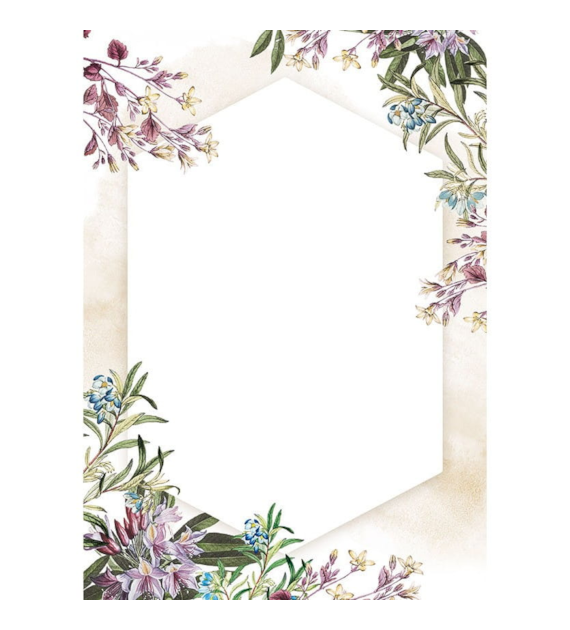 DYPLOM UMBRIA 170G/M2 opak. 25 szt.